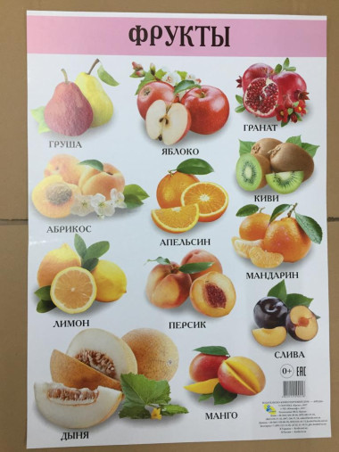 Фрукты. Плакат  А2 /60*42 см,./ — Интернет каталог PriceOK