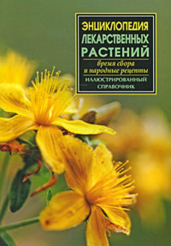 Энциклопедия лекарственных растений. Время сбора и народные рецепты фото 1 — Интернет каталог PriceOK
