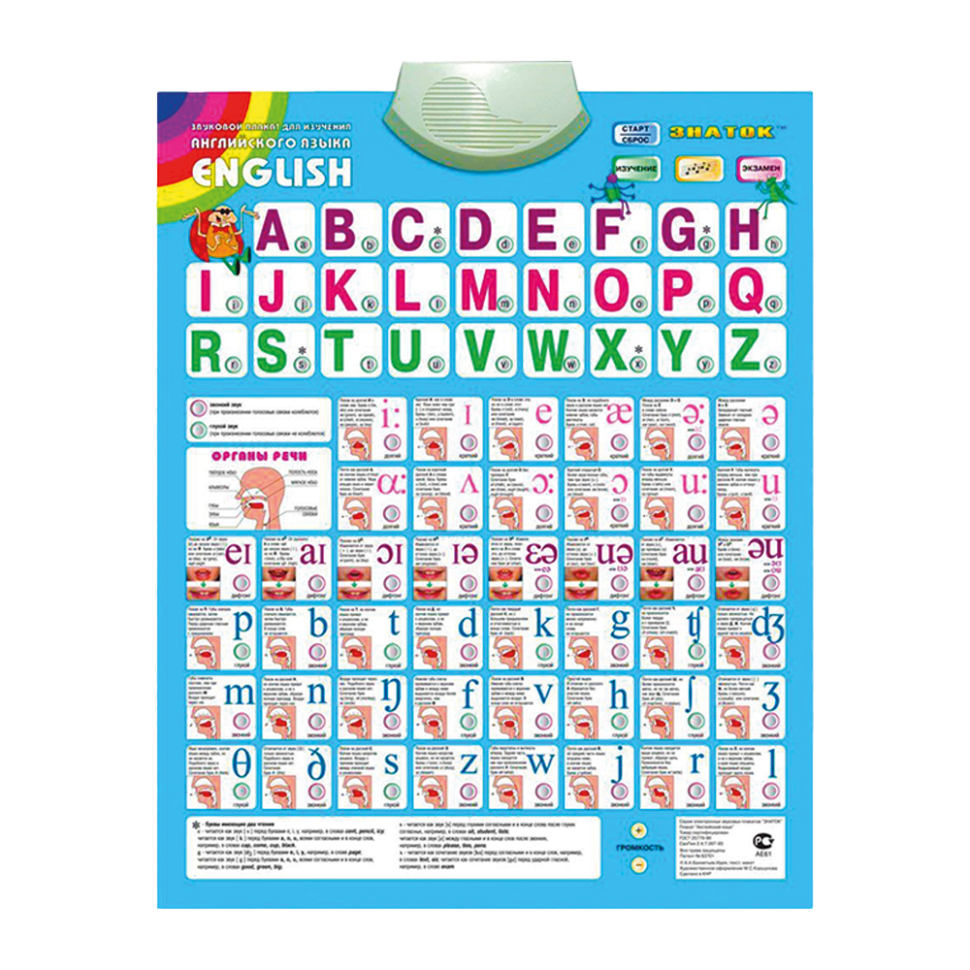 Звуковой плакат Английский 47х59 см фото 1 — Интернет каталог PriceOK