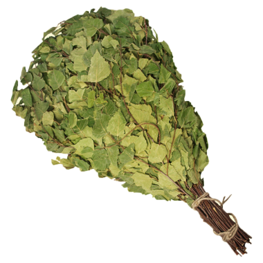 Берёзовый веник для бани 55-60 см, СУПЕРКАЧЕСТВО — Интернет каталог PriceOK