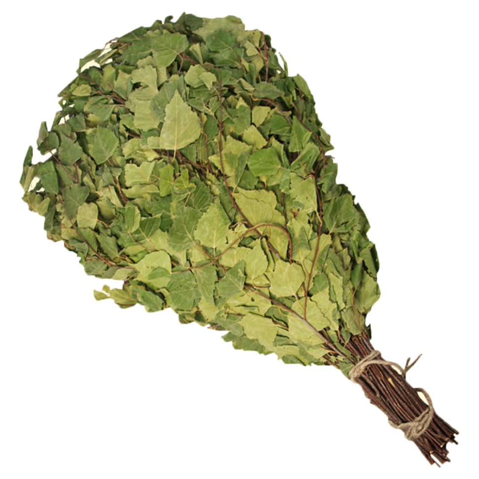 Берёзовый веник для бани 55-60 см, СУПЕРКАЧЕСТВО фото 1 — Интернет каталог PriceOK