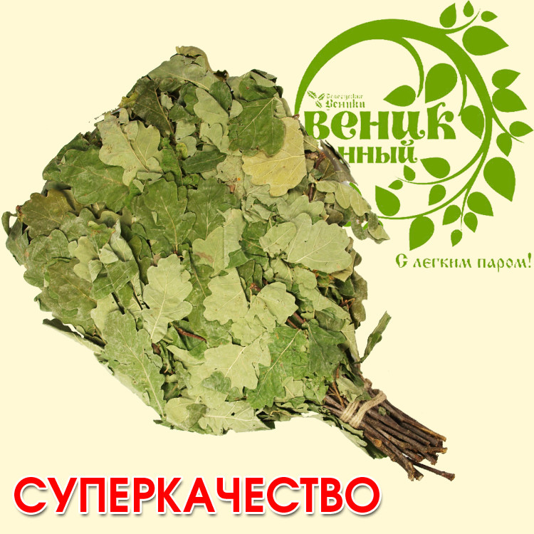 Дубовый веник для бани 55-60 см, СУПЕРКАЧЕСТВО фото 1 — Интернет каталог PriceOK