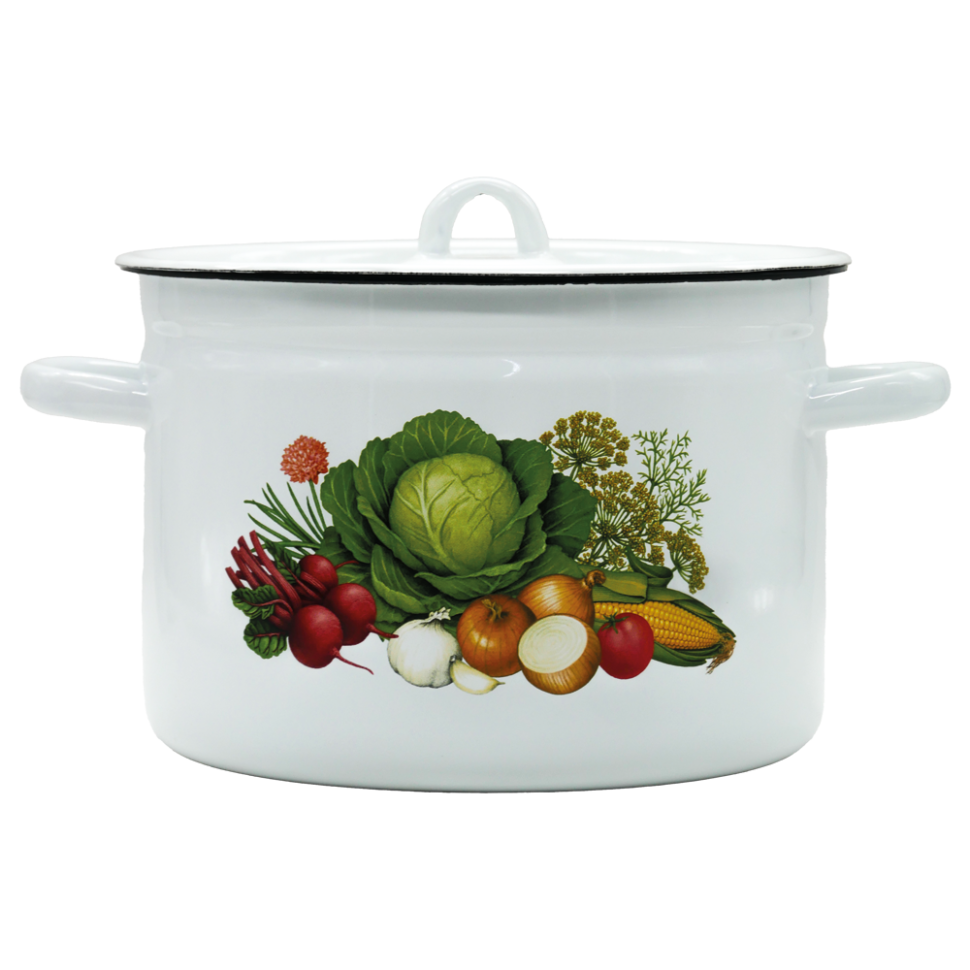 Кастрюля эмалированная с крышкой Овощи 5,5 л фото 1 — Интернет каталог PriceOK