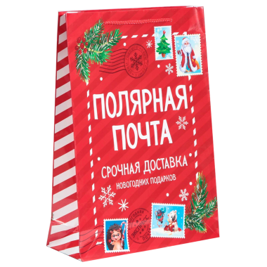 Пакет ламинированный вертикальный - Полярная почта, 28 x 38 x 9 см — Интернет каталог PriceOK
